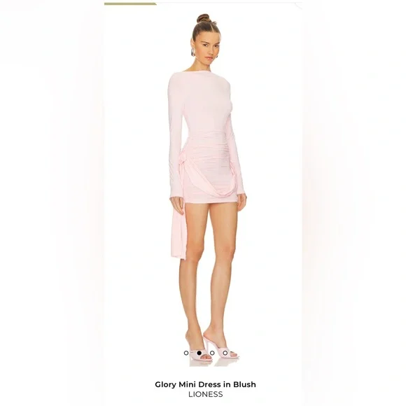 Lioness Long-Sleeve Blush Dress - Picture 2 of 13